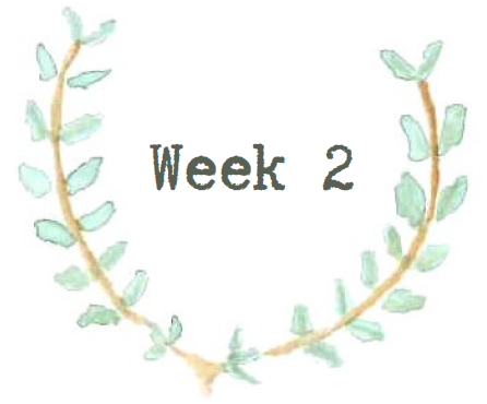 week2