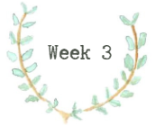 week3